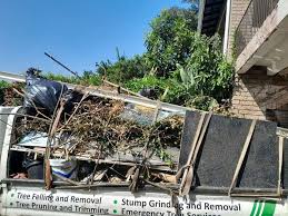 Best Hoarding Cleanup  in Reading, PA